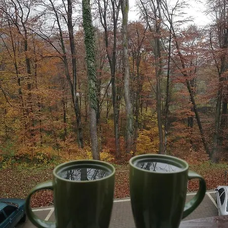 Замок Flald Karpaty